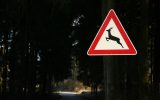 Wildwechsel-Schild im Wald (Bild: Willi Zell/Panther Media)