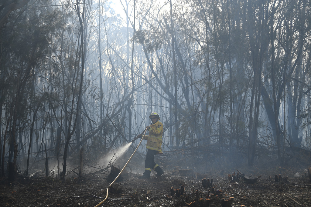 Buschfeuer in Australien (Bild: Saeed Khan/AFP)