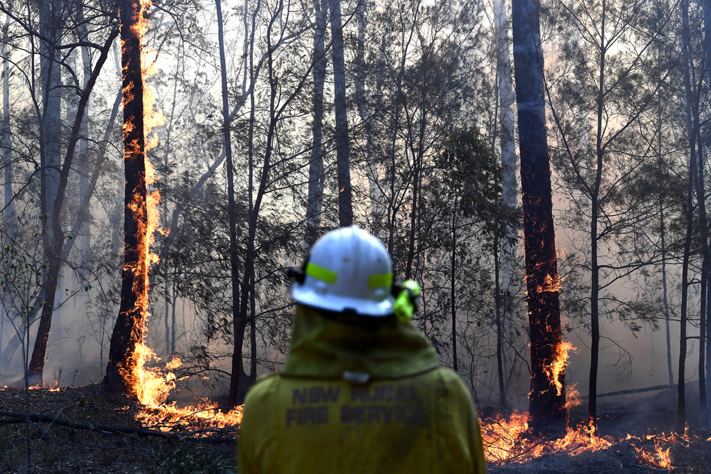 Buschbrände in Australien (Bild: Saeed Khan/AFP)