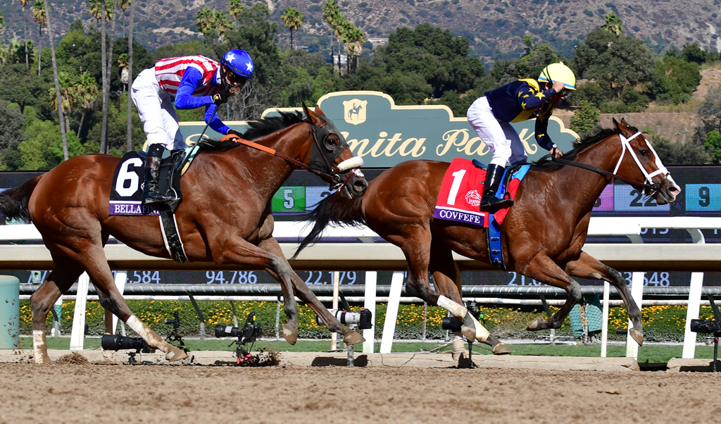 Mit "Covfefe" ritt Joel Rosario beim Breeders Cup in Kalifornien zum Sieg (Bild: Frederic J. Brown/AFP)