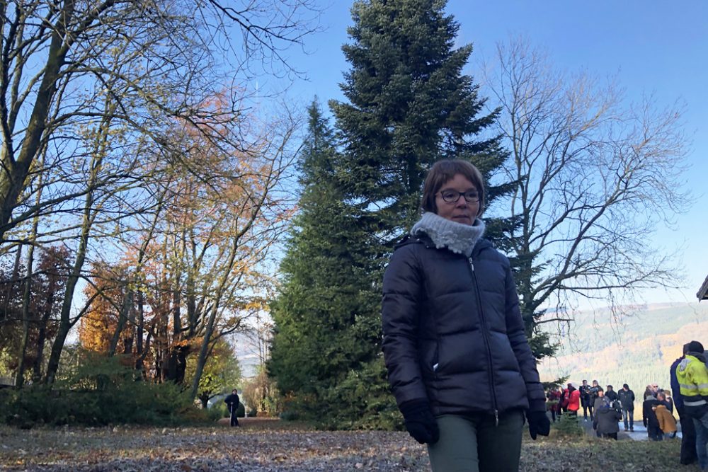 Ein Weihnachtsbaum aus Stavelot wird dieses Jahr die Gran'Place in Brüssel schmücken (Bild: Françoise Peiffer/Belga)