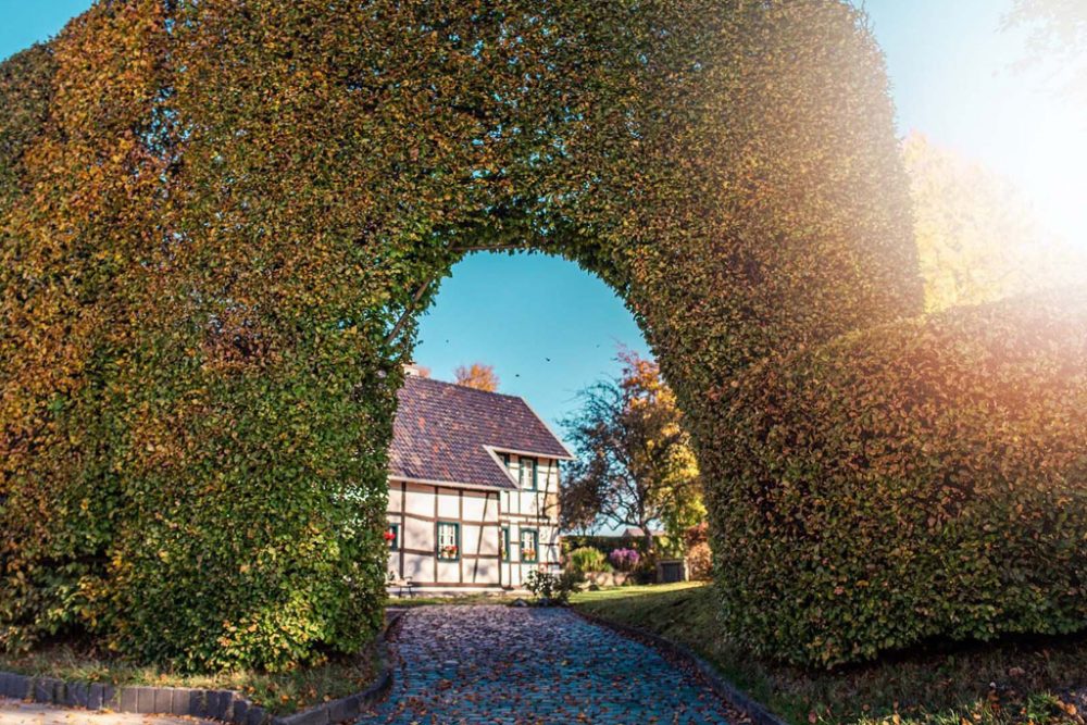 Hinter der Hecke: Kampagne in Monschau