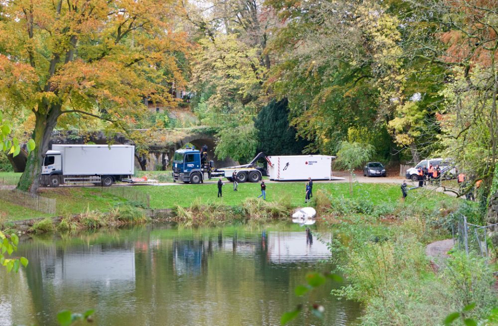 Rettungskräfte suchen im See des Parks Louise Marie nach einer Frau