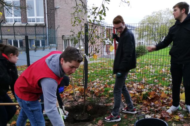 PDS-Schüler pflanzen Obstbäume (Bild: PDS)