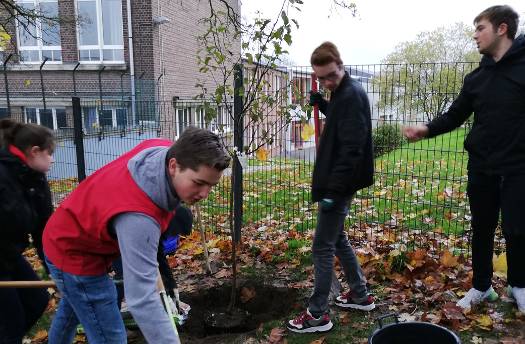 PDS-Schüler pflanzen Obstbäume (Bild: PDS)