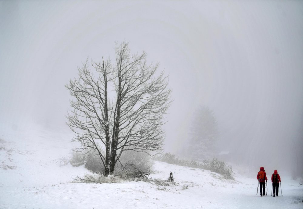 Schnee in Österreich (Bild: Barbara Gindl/AFP)