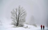 Schnee in Österreich (Bild: Barbara Gindl/AFP)