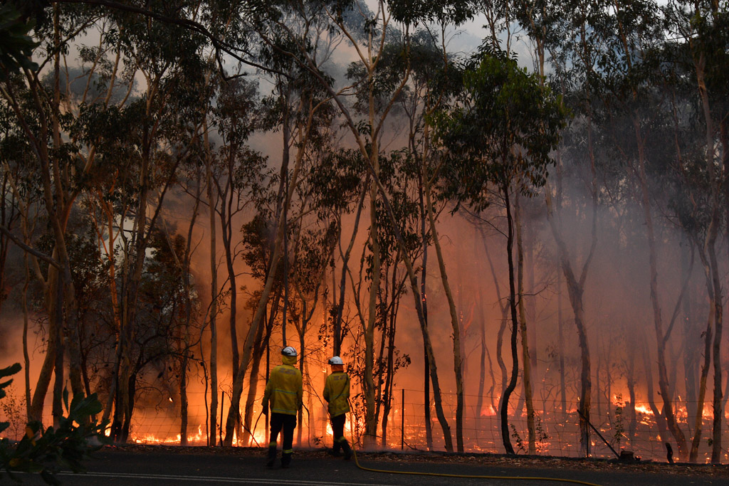 Buschbrände in Australien (Bild: Saeed Khan/AFP)