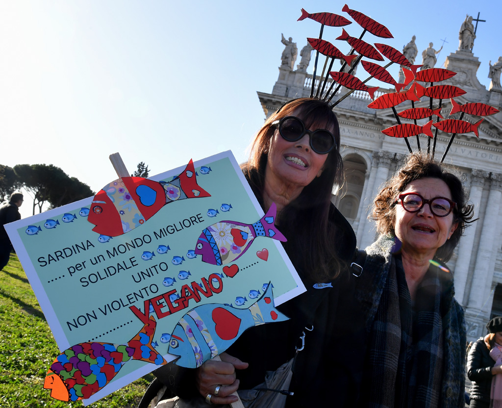 "Sardinen" protestieren in Rom gegen Rechtspopulisten (Bild: Andreas Solaro/AFP)