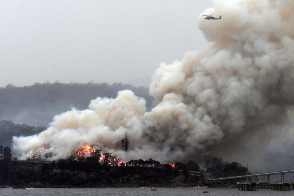 Buschbrände in Australien (Bild: Saeed Khan/AFP)