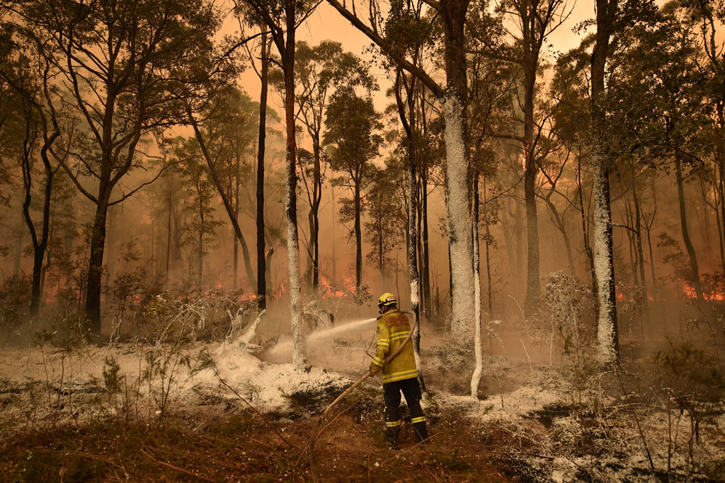 Kampf gegen die Flammen in Jerrawangala in New South Wales (Bild: Peter Parks/AFP)