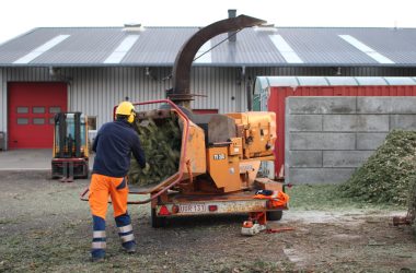 Die Weihnachtsbäume werden auf dem Bauhof gehäckselt und als Mulch weiterverwertet (Bild: Katrin Margraff/BRF)