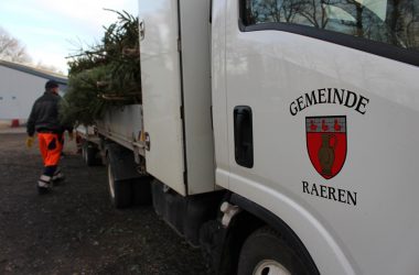 In Raeren sammeln die Bauhof-Mitarbeiter die Weihnachtsbäume ei