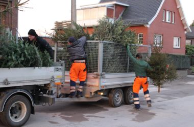 In Raeren sammeln die Bauhof-Mitarbeiter die Weihnachtsbäume ein (Bild: Katrin Margraff/BRF)