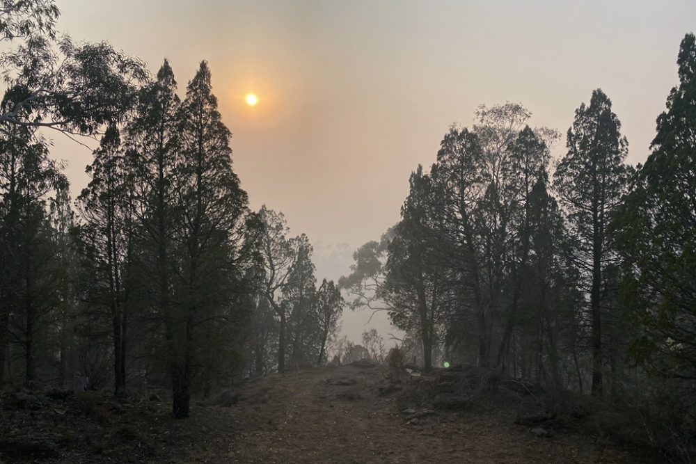 Buschfeuer in Australien (Bild: Saeed Khan/AFP)