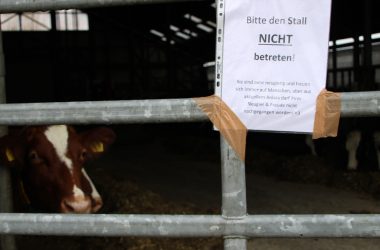 Protest gegen die Massentötung von Rindern wegen Herpes in Aachen-Nütheim (Bild: Michaela Brück/BRF)