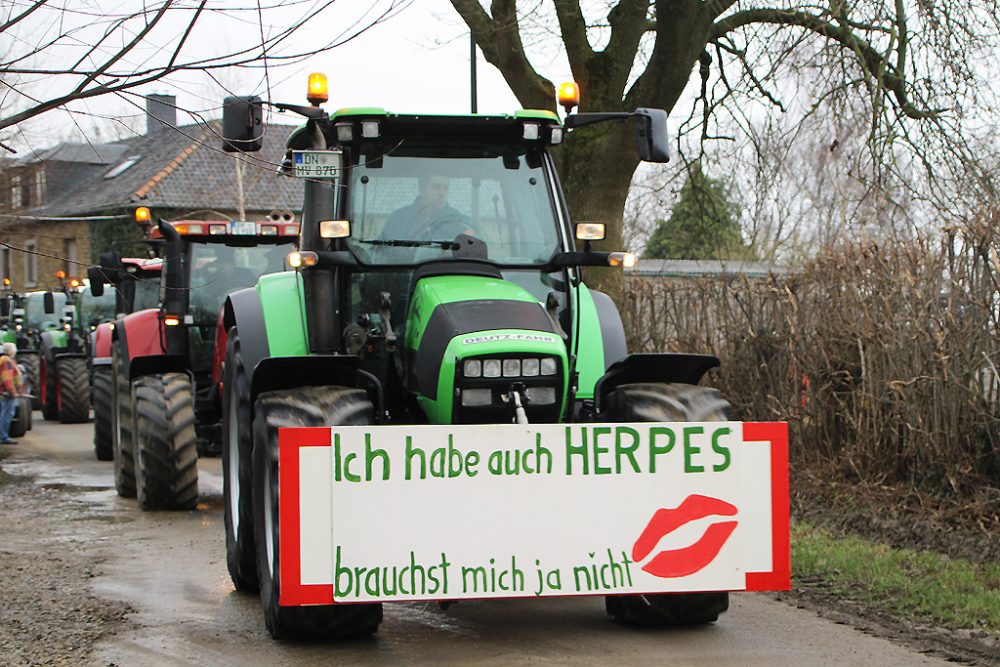 Protest gegen die Massentötung von Rindern wegen Herpes in Aachen-Nütheim (Bild: Michaela Brück/BRF)