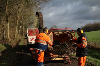 Aufräumarbeiten nach Sturm Ciara (Bild: Lena Orban/BRF)