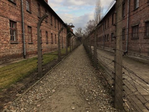 Auschwitz (Bild: Herbert Grommes)