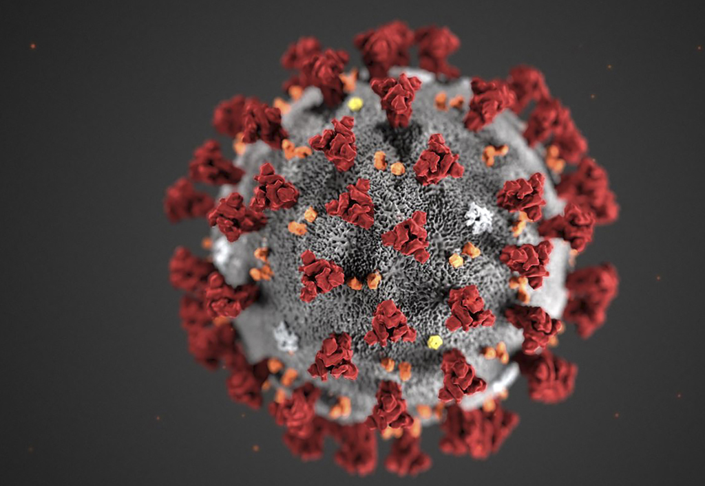Coronavirus (Archivbild: Lizabeth Menzies/Centers for Disease Control and Prevention/AFP)