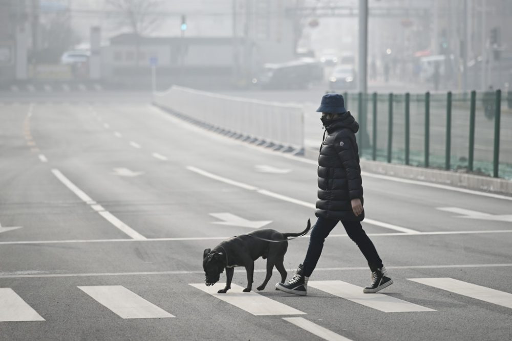 Mann mit Schutzmaske in Peking (Bild: AFP/STR)