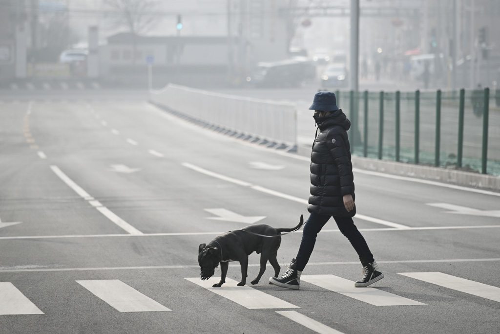 Mann mit Schutzmaske in Peking (Bild: AFP/STR)