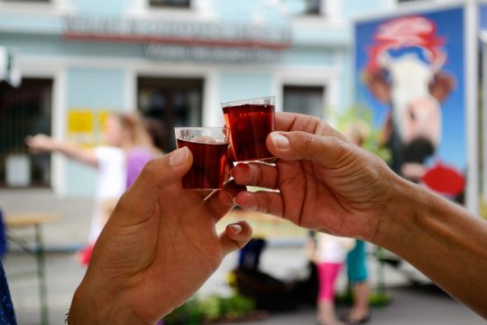 Anstoßen mit Schnaps (© Bildagentur PantherMedia / Alfred Hofer)