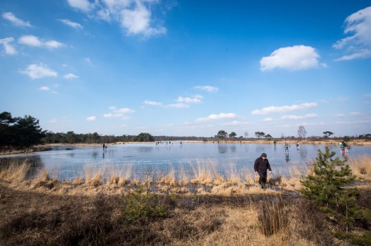 Illustrationsbild: Luc CLaessen/BELGA