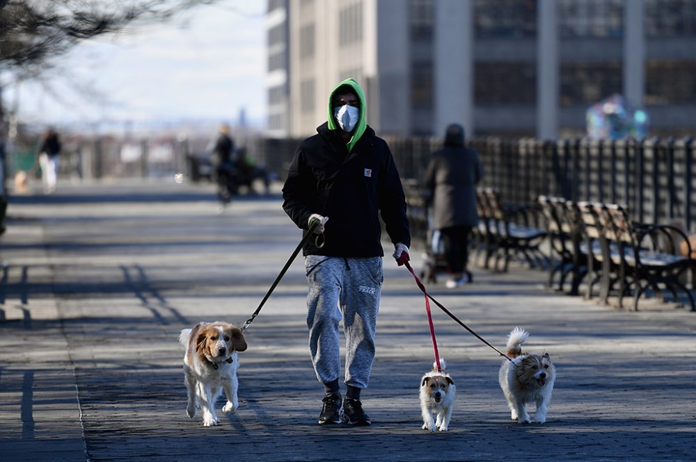 Mann mit Hunden in New York (Bild: Angela Weiss/AFP)