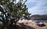 Thierry Neuville/Nicolas GIlsoul bei der Rallye Mexiko (Bild: Hyundai Motorsport)