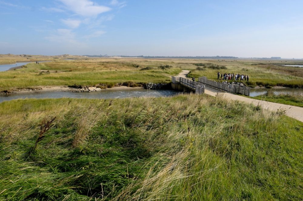 Naturpark "Het Zwin" in Knokke-Heist an der Grenze zu den Niederlanden