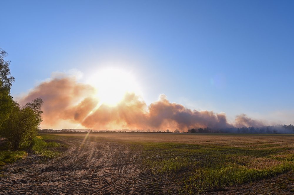 Waldbrand bei Oud-Turnhout in der Provinz Antwerpen (Bild: Luc Claessen/Belga)