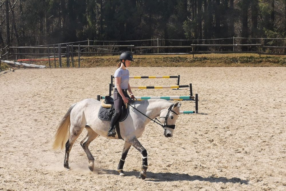 Im Reitstall Equicenter Leufgen in Herresbach (Bild: Raffaela Schaus/BRF)