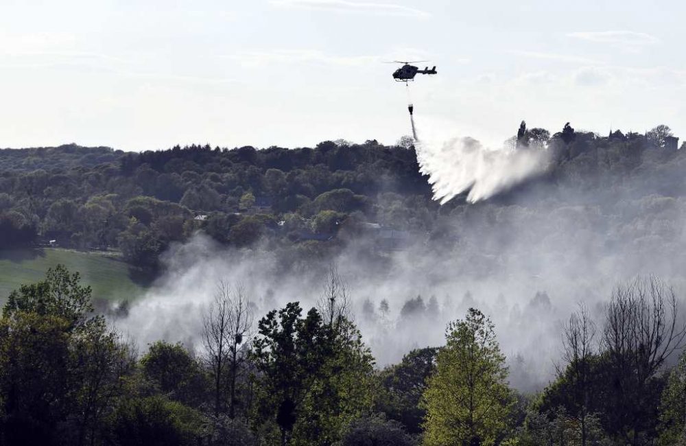 Waldbrand in Wanze (Bild: Eric Lalmand/Belga)