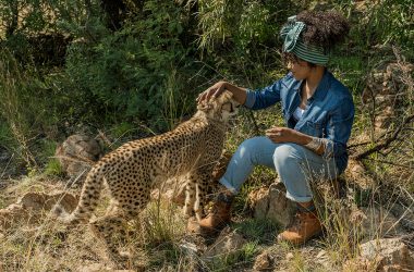 Kira (Thandi Sebe) kümmert sich um einen kranken Geparden (Bild: ZDF/Emil Wessels)