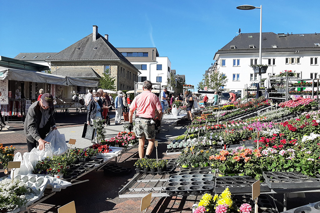 Wieder Markt in St. Vith (Bild: Michaela Brück/BRF)