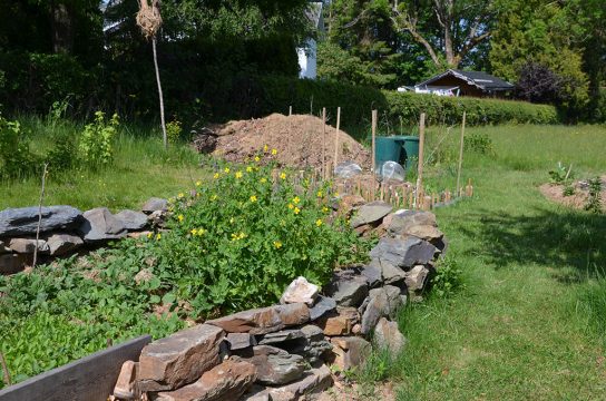 Gärten für die Artenvielfalt - Wettbewerb: 19 Naturgärtenauditen im Naturpark (Bild: Naturpark Hohes Venn – Eifel | Noe-Noah Interreg Projekt)