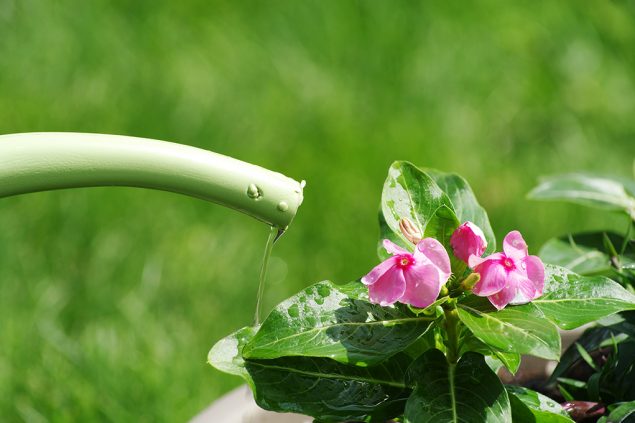 Gartenschlauch (Illustrationsbild: © Bildagentur PantherMedia / Sorin Alexandru)