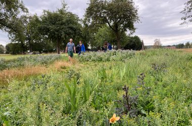 Let's create together - Blumenwiese vom Gut Rotter und von Silke Rotheudt (Bild: Simonne Doepgen/BRF)