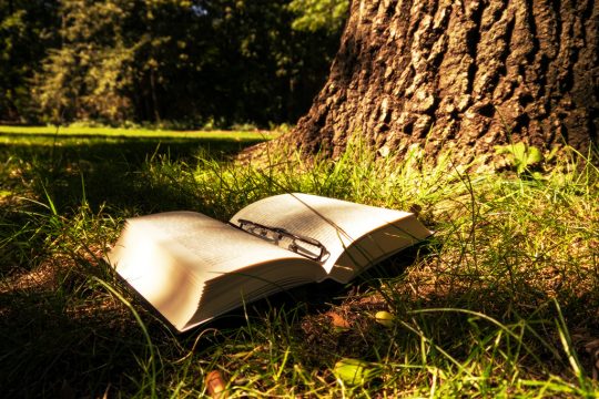 Buch im Wald (Illustrationsbild: © Bildagentur PantherMedia / Stefan Papp)