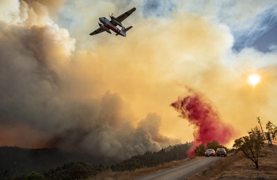 Waldbrand in Healdsburg, Kalifornien, am 20. August (Bild: Josh Edelson/AFP)