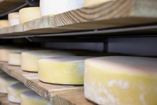 Göhltaler Käse (Bild: Julien Claessen/BRF)