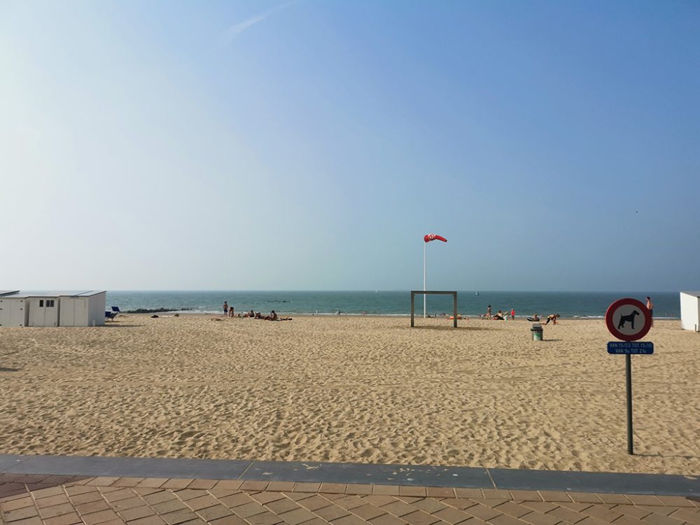 Am Strand von Knokke (Bild: Raffaela Schaus/BRF)