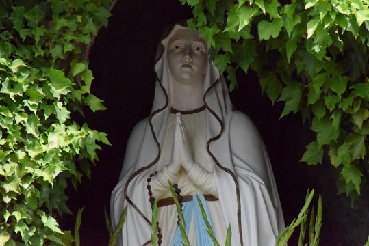 Bild: Stephan Pesch/BRF