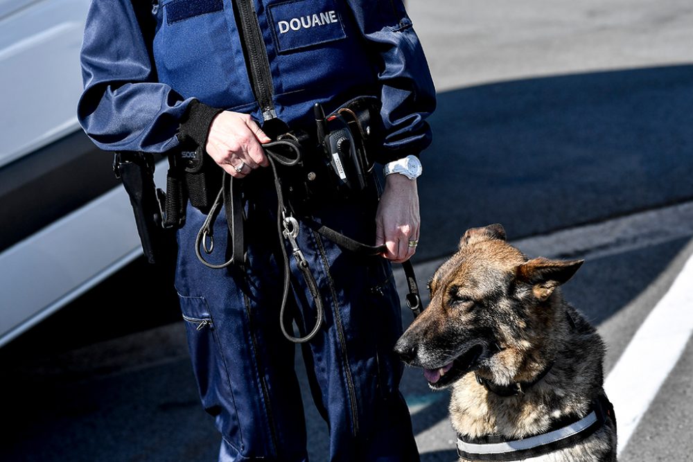 Zöllner mit Hund (Bild: Dirk Waem/Belga)