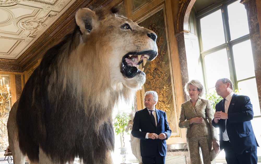 Königin Mathilde bei der Eröffnung des Afrikamuseums