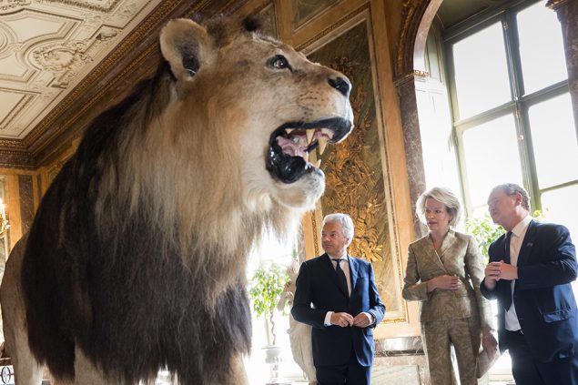 Königin Mathilde bei der Eröffnung des Afrikamuseums