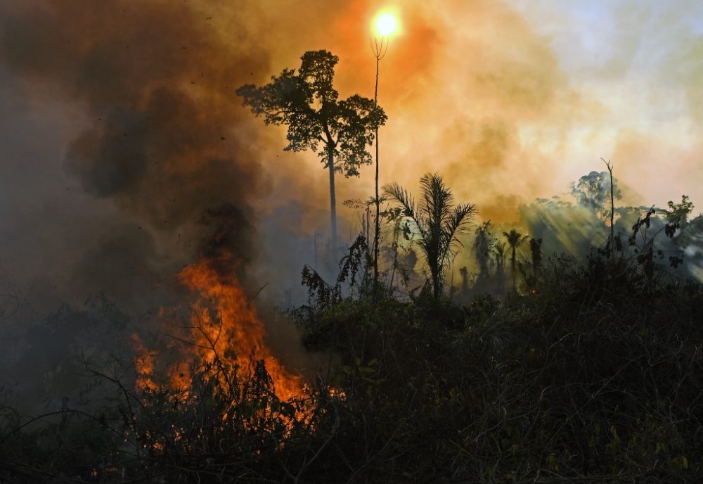 Waldbrand im Amazonasgebiet in Brasilien