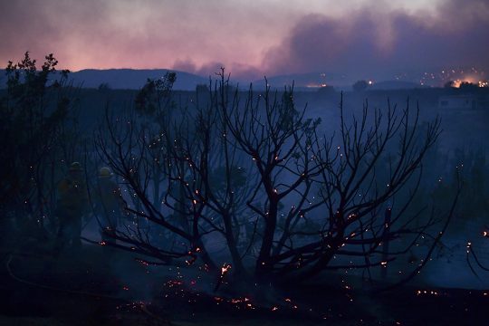 Waldbrände in Kalifornien