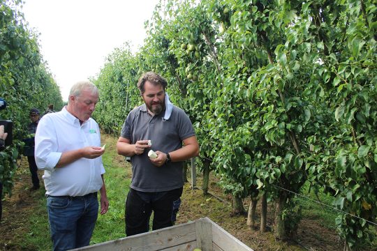 Erwin Schöpges von der Genossenschaft Faircoop und Obstbauer Xavier Laduron (Bild: Andreas Lejeune/BRF)